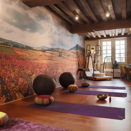 Le Cep&spa Hotel Beaune (Cote d'Or)