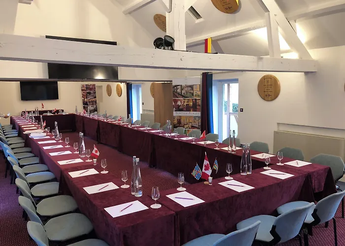 Hotel Le Cep&spa Beaune (Cote d'Or)